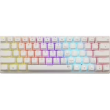 White Shark WAKIZASHI 2 Clicky - White