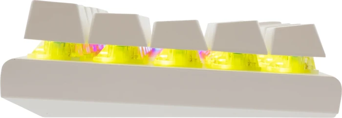 White Shark WAKIZASHI 2 Clicky - White