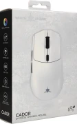 White Shark Wireless CADOR - White