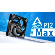 Arctic P12 Max 2Ball